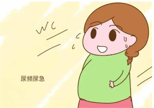 做好卵泡監(jiān)測，科學備孕事半功倍