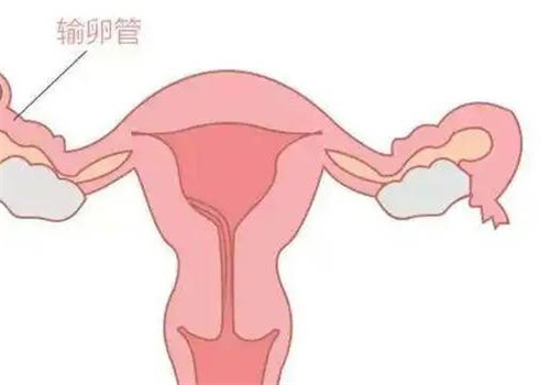 人工授精只是一項小手術，并不會讓女性覺得痛
